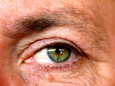 Ein männliches Auge mit Braue.