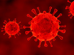 Coronavirus: Zwei Viren-Zellen unter einem Mikroskop.