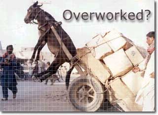 Overworked