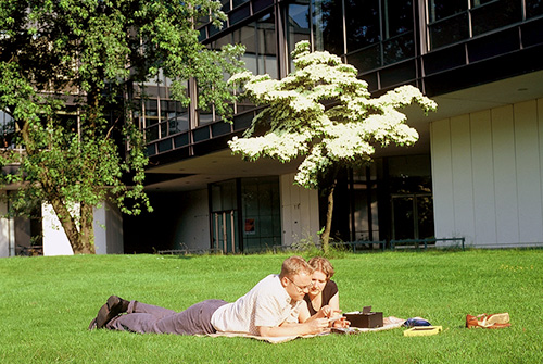 Studenten liegen auf der Campuswiese der Helmut Schmidt Universität