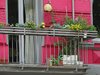 Ein bepflanzter Balkon eines Hauses mit pinken Anstrich.