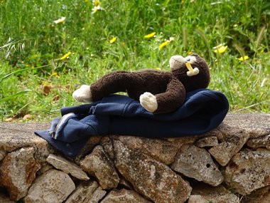 Ein Stoffaffe liegt auf einem Pullover auf einer Steinmauer in der Sonne.