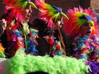 Drei als kunterbunte Paradiesvögel verkleidete Frauen auf einem Karnevalumzug.