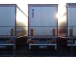 Drei Rückseiten von Lastwagen der Firma Schitz Cargobull durch die die untergehende Sonne scheint.