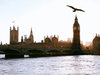 Auslandsstudium von der Steuer absetzen: Big Ben und Buckingham Palace an der Themse in London.