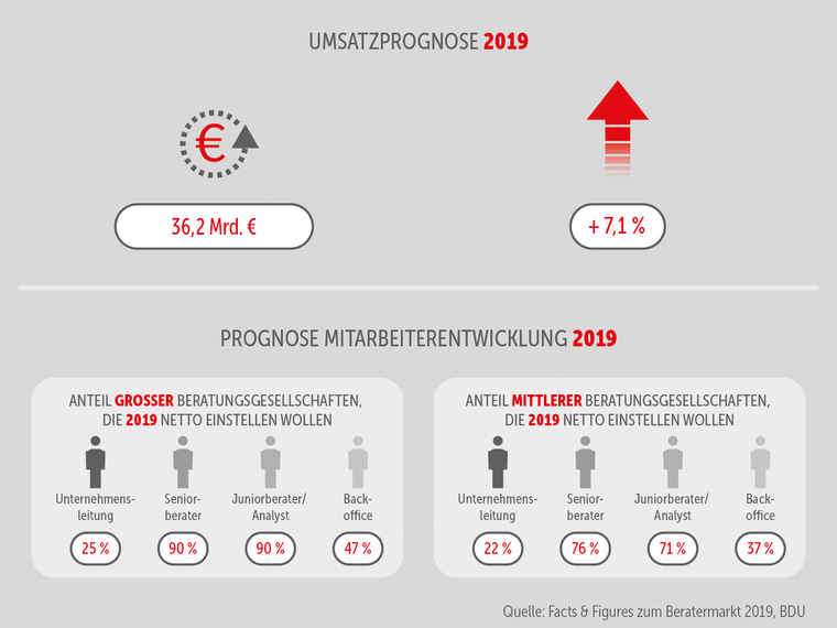Grafik 2: Ergebnisse der Branchenstudie „Facts & Figures zum Beratermarkt 2019“ des Bundesverbandes Deutscher Unternehmensberater (BDU).