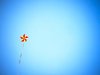 Ein bunter, fliegender Drache in Sternform mit Schweif vor blauem Himmel.