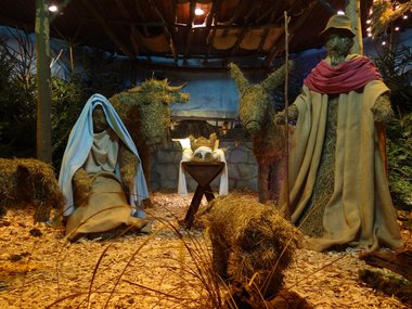 Eine Strohkrippe mit dem Jesuskind, Josef, Maria, Ochs, Esel und einem Schaf mit Tannenbäumen umringt.