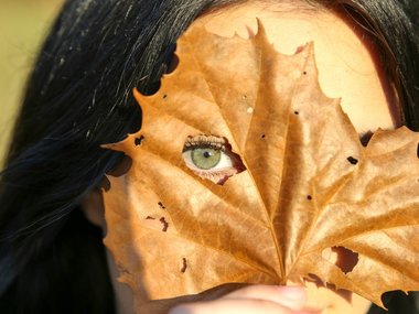 Ein grünes Auge einer Frau schaut durch ein Loch in einem  gelben Ahornblatt.