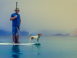Ein Hund und ein Mann auf einem Surfbrett.