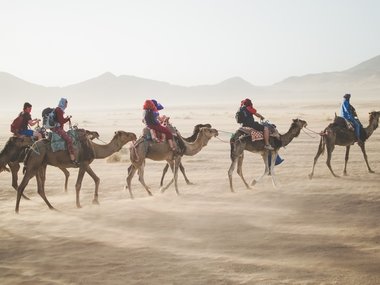 Mehrere Kamele mit Reitern in der Wüste.