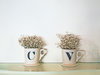 Auf zwei Tassen stehen die Buchstaben C und V. CV steht für Curriculum Vitae und bedeutet Lebenslauf.