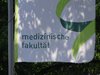 Medizinstudium: Das untere Ende einer Fahne mit der Aufschrift: medizinische Fakultät in grüner Schrift.