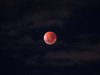 Ein Mond mit leicht roter Verfärbung am nachtschwarzen Himmel.