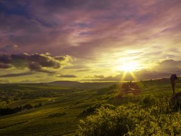 Der Blick über eine Weinanbaulandschaft bei Sonnenaufgang.