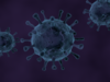 Drei Viren-Zellen unterm Mikroskop in lila gehaltenen Farben.